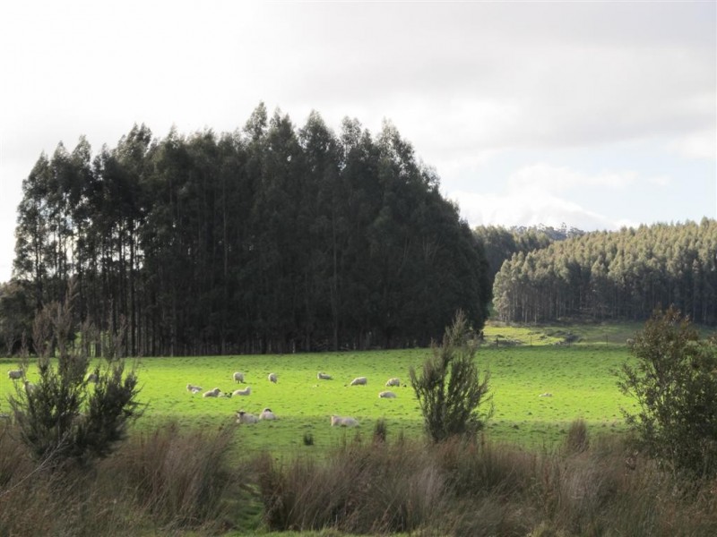 394 Scotts Road, Mole Creek TAS 7304