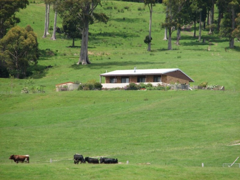 84 Coates Hill Road, Parkham TAS 7304