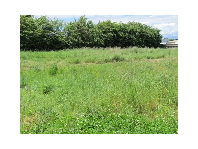 35  Jones Street, Westbury TAS 7303