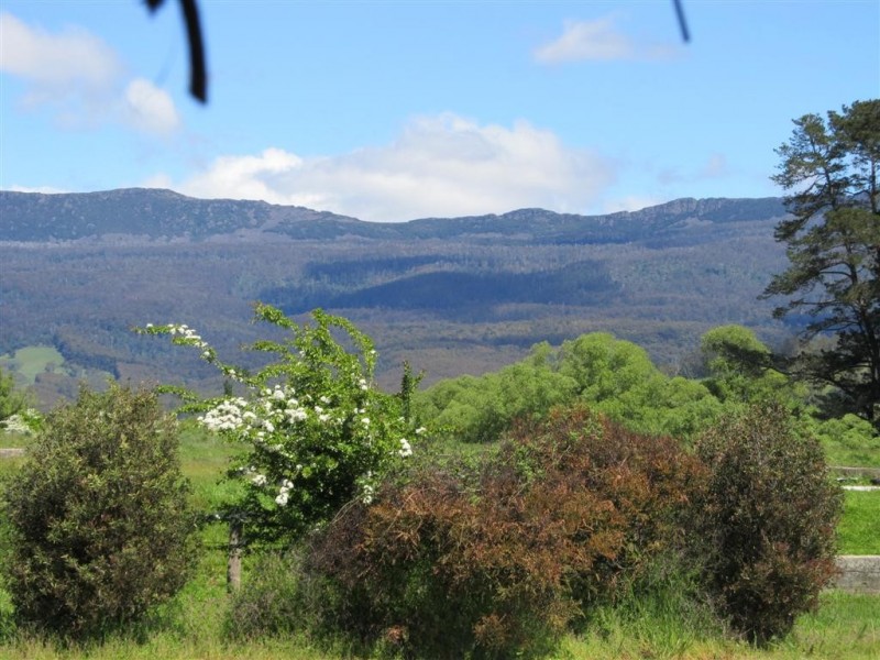 98 Pioneer Drive, Mole Creek TAS 7304