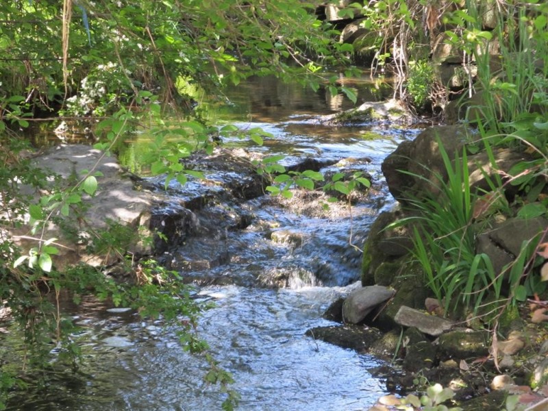 98 Pioneer Drive, Mole Creek TAS 7304