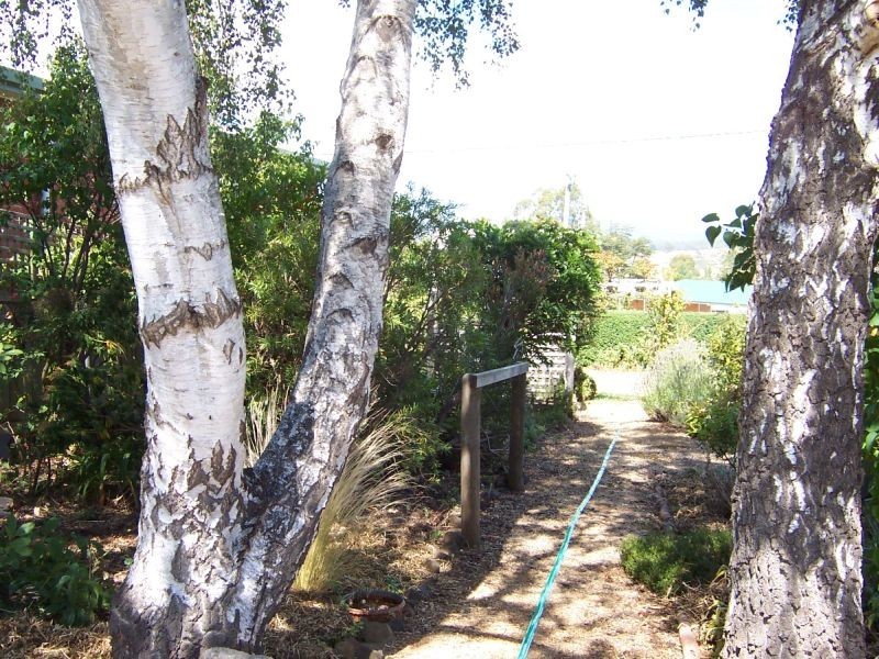 43 Weston Street, Deloraine TAS 7304