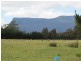 1363 Bogan Road, Golden Valley TAS 7304