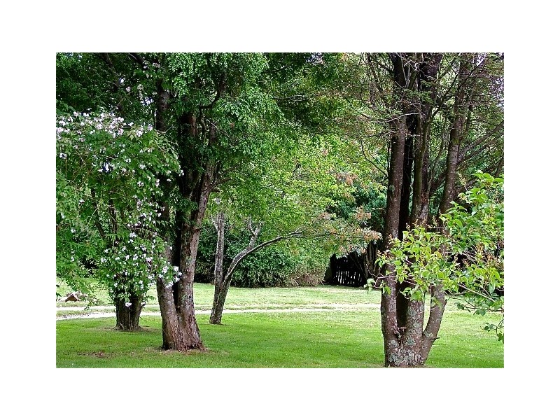 1363 Bogan Road, Golden Valley TAS 7304