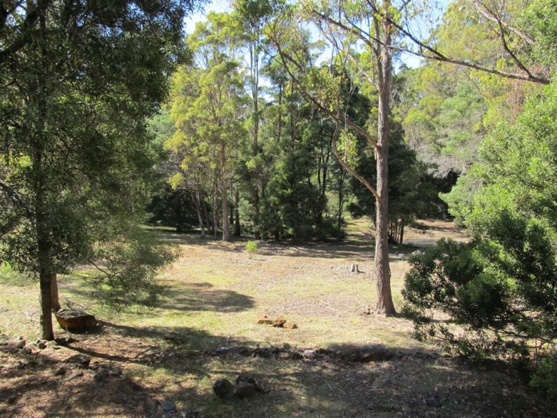 505 Larcombes Road, Reedy Marsh TAS 7304