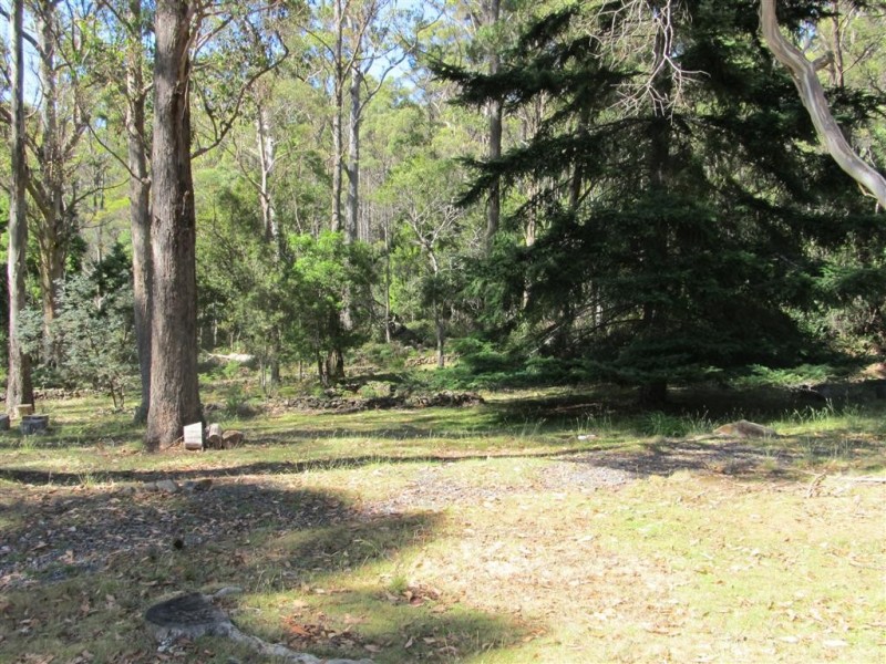 505 Larcombes Road, Reedy Marsh TAS 7304