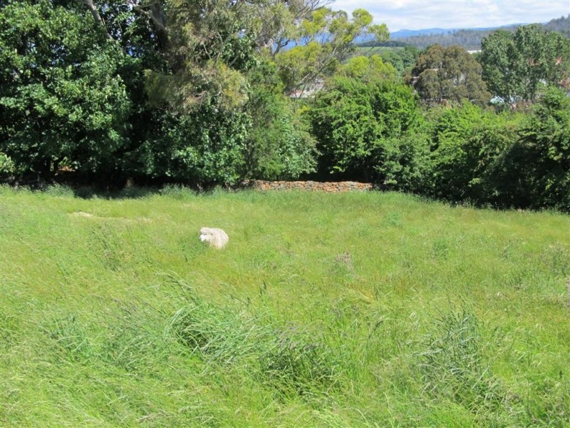 Lot 2 Westbury Place, Deloraine TAS 7304