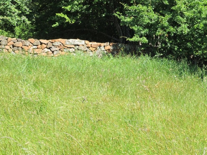 Lot 2  Westbury Place, Deloraine TAS 7304