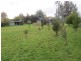 25b Adelaide Street, Westbury TAS 7303