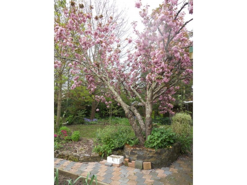 34 William Street, Westbury TAS 7303