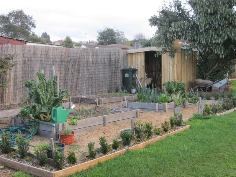 49 East Barrack Street, Deloraine TAS 7304