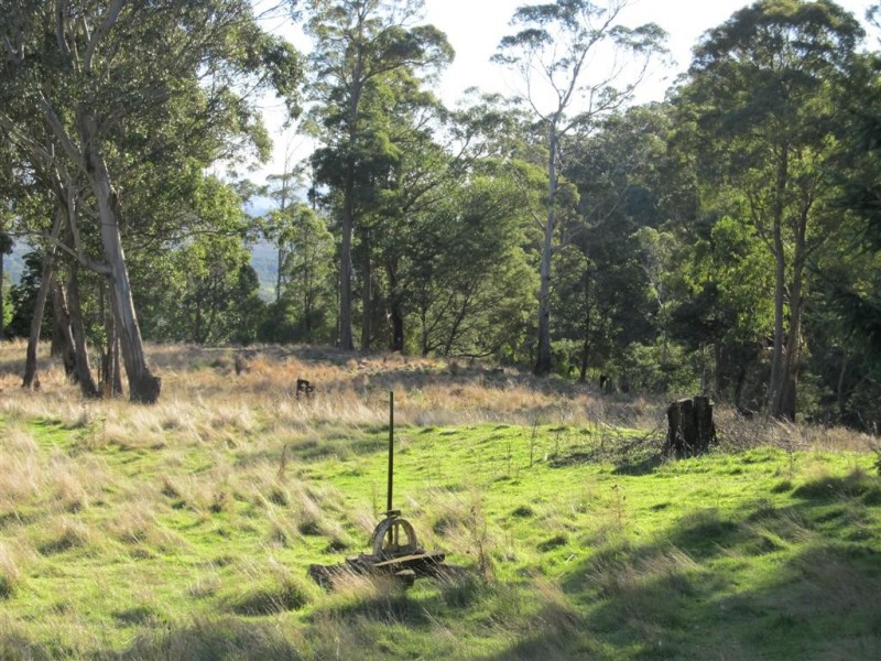 13567 Highland Lakes Road, Golden Valley TAS 7304