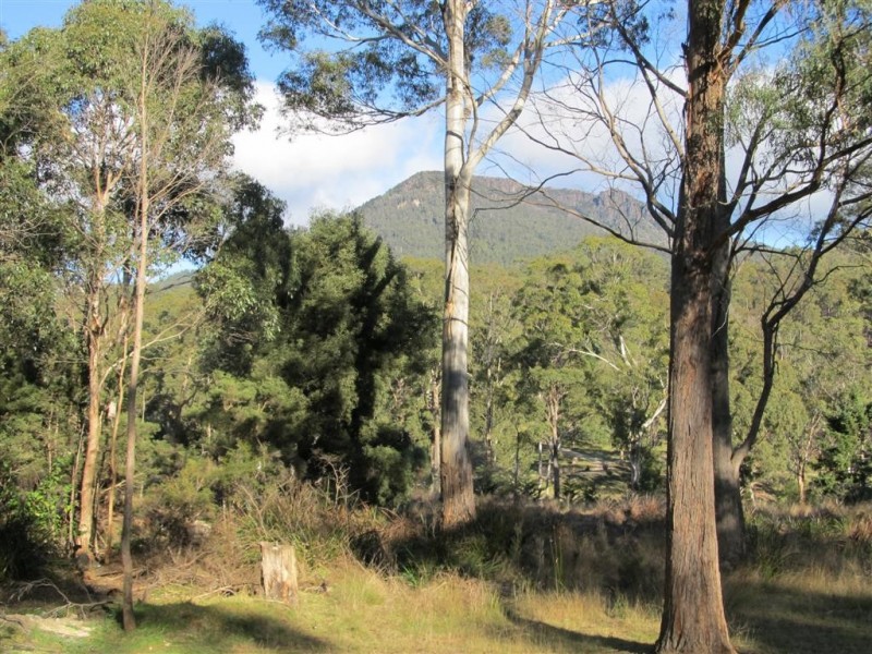 13567 Highland Lakes Road, Golden Valley TAS 7304