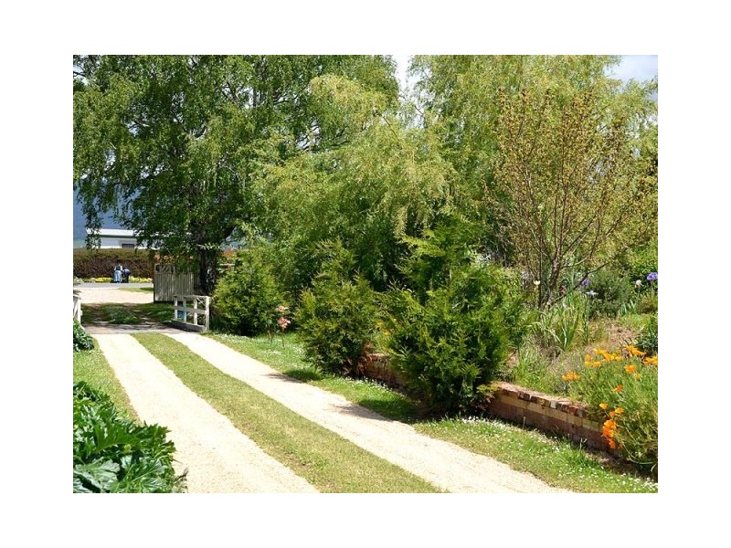 86 Pioneer Drive, Mole Creek TAS 7304