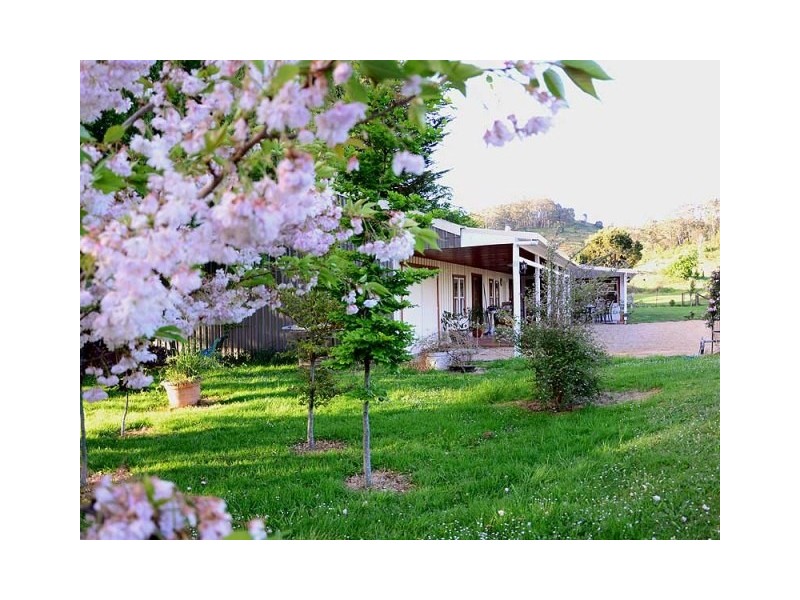 86 Pioneer Drive, Mole Creek TAS 7304