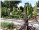 1 Robert Street, Exton TAS 7303
