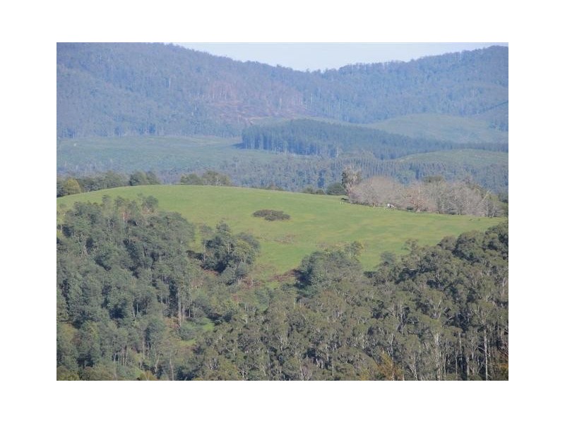 73 Grundy’s Road, Weegena TAS 7304
