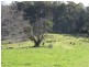 73 Grundy’s Road, Weegena TAS 7304