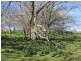 73 Grundy’s Road, Weegena TAS 7304