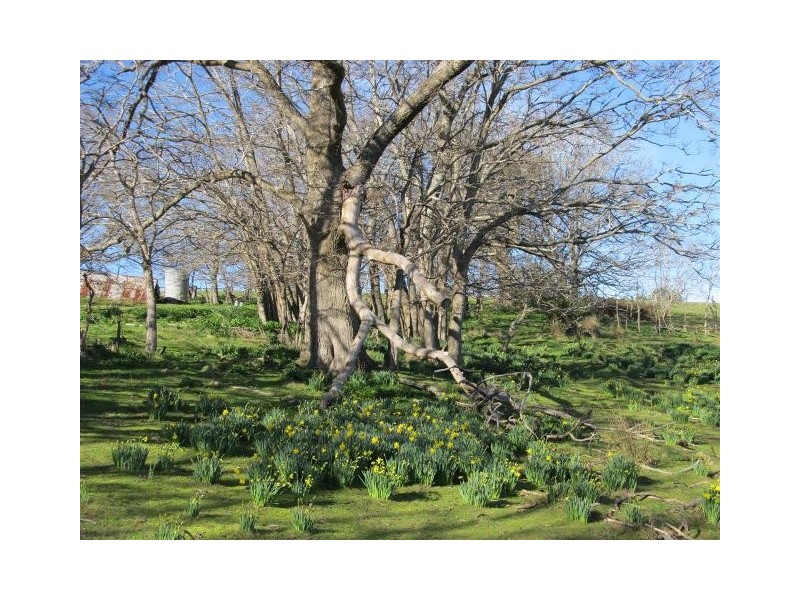 73 Grundy’s Road, Weegena TAS 7304