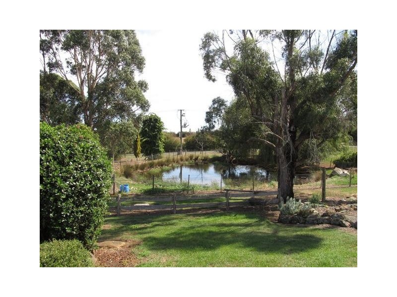 43 Mary Street, Westbury TAS 7303