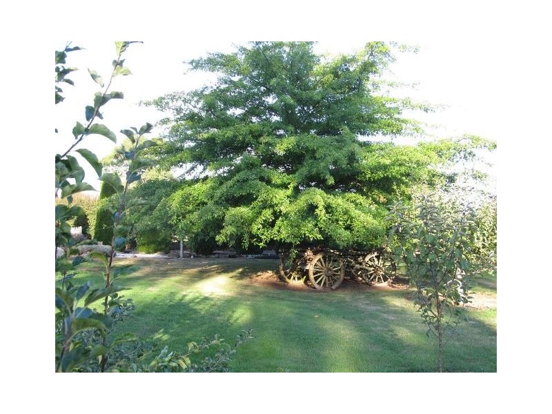 43 Mary Street, Westbury TAS 7303