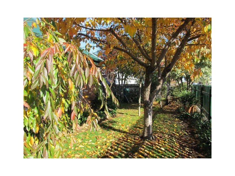 24 Meander Valley Road, Westbury TAS 7303