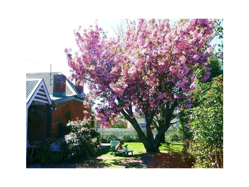 24 Meander Valley Road, Westbury TAS 7303