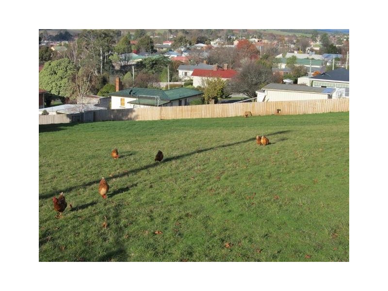 9 Quamby Court, Deloraine TAS 7304