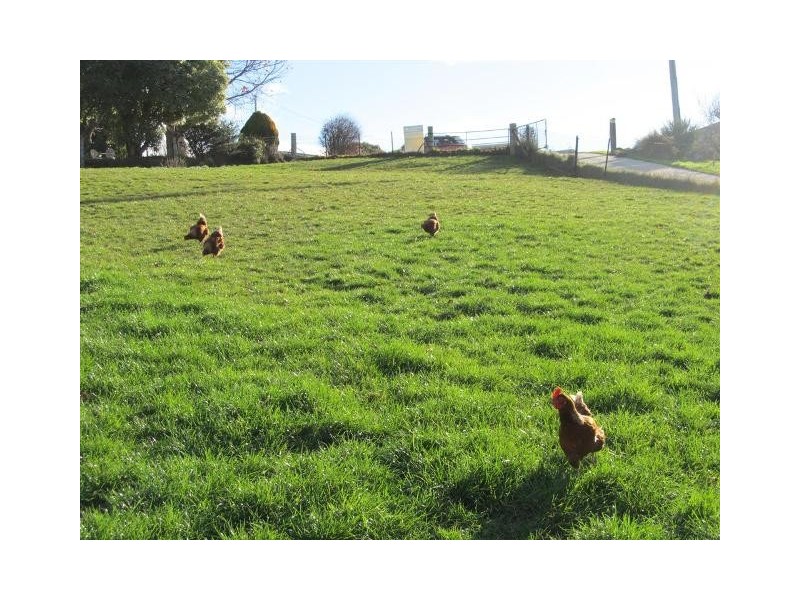 9 Quamby Court, Deloraine TAS 7304