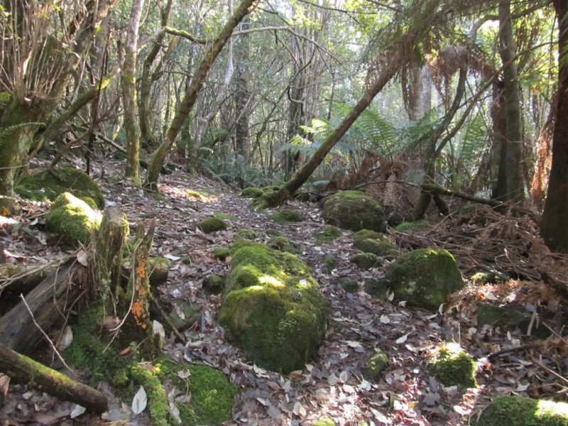 387 Sugarloaf Road, Jackeys Marsh TAS 7304