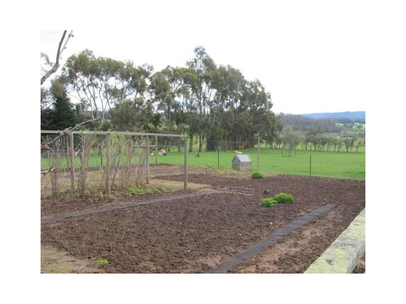 264 Scotts Road, Mole Creek TAS 7304