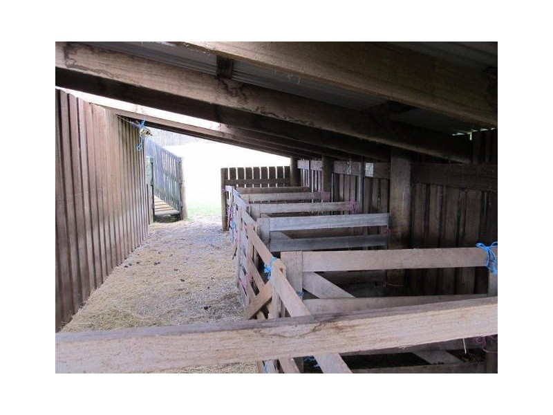 264 Scotts Road, Mole Creek TAS 7304