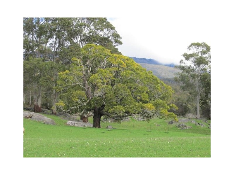 264 Scotts Road, Mole Creek TAS 7304