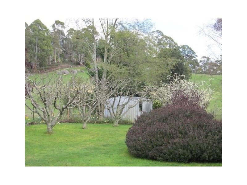 264 Scotts Road, Mole Creek TAS 7304