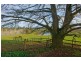 5283 Bass Highway, Deloraine TAS 7304