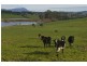 5283 Bass Highway, Deloraine TAS 7304