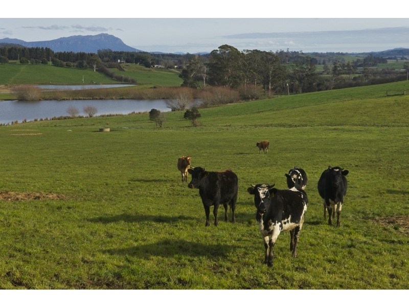 5283 Bass Highway, Deloraine TAS 7304