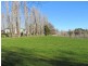 5283 Bass Highway, Deloraine TAS 7304