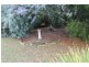 53 Beefeater Street, Deloraine TAS 7304