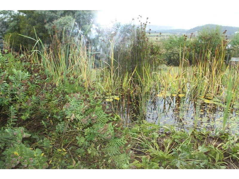 53 Beefeater Street, Deloraine TAS 7304