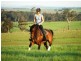 929 Selbourne Road, Selbourne TAS 7292