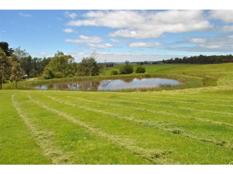 929 Selbourne Road, Selbourne TAS 7292