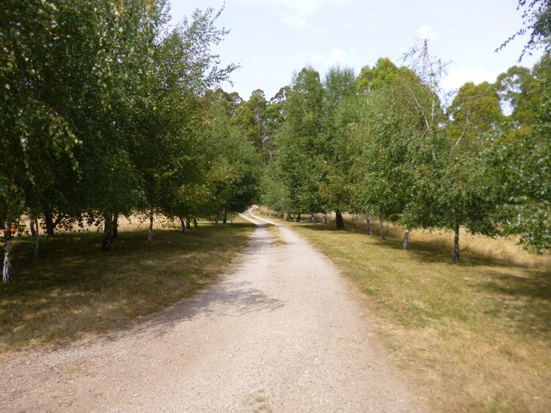 290 Wadleys Road, Reedy Marsh TAS 7304