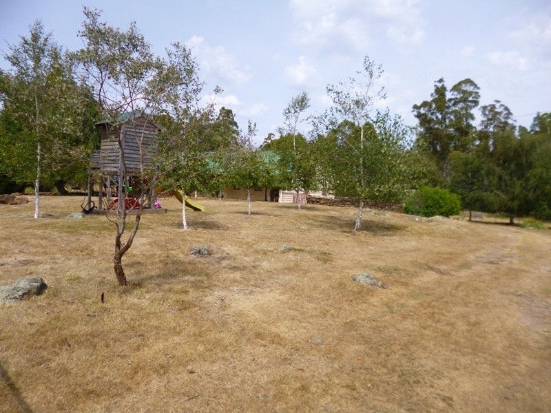 290 Wadleys Road, Reedy Marsh TAS 7304