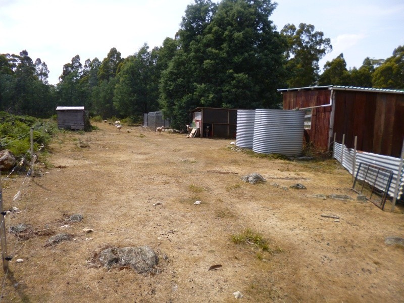 290 Wadleys Road, Reedy Marsh TAS 7304