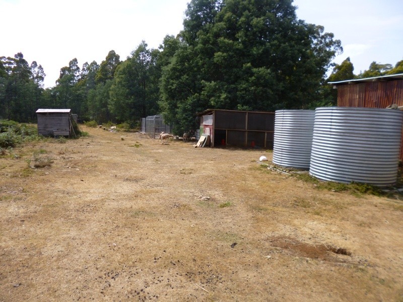 290 Wadleys Road, Reedy Marsh TAS 7304