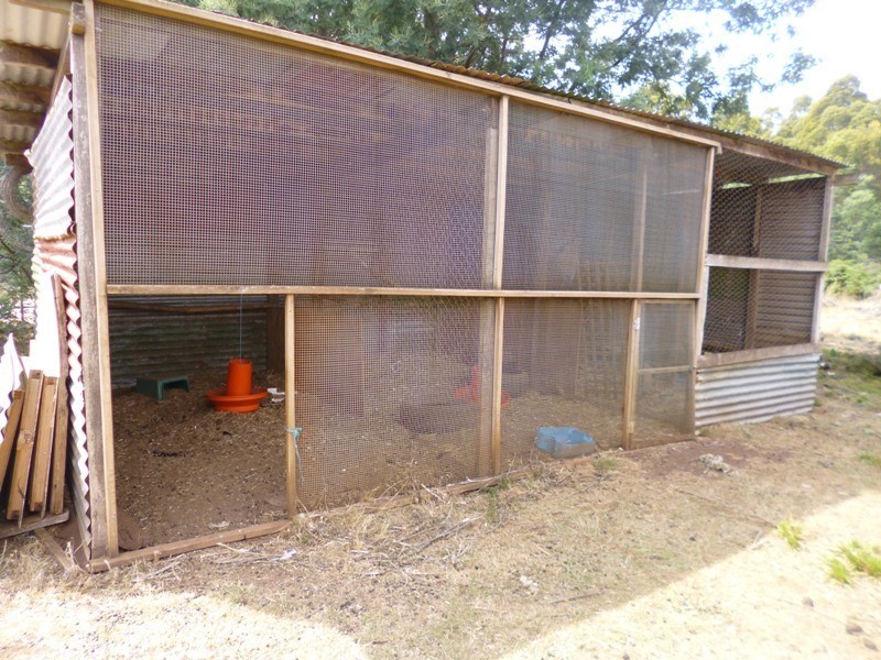 290 Wadleys Road, Reedy Marsh TAS 7304