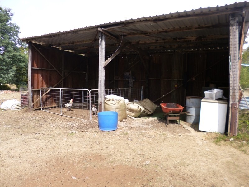 290 Wadleys Road, Reedy Marsh TAS 7304