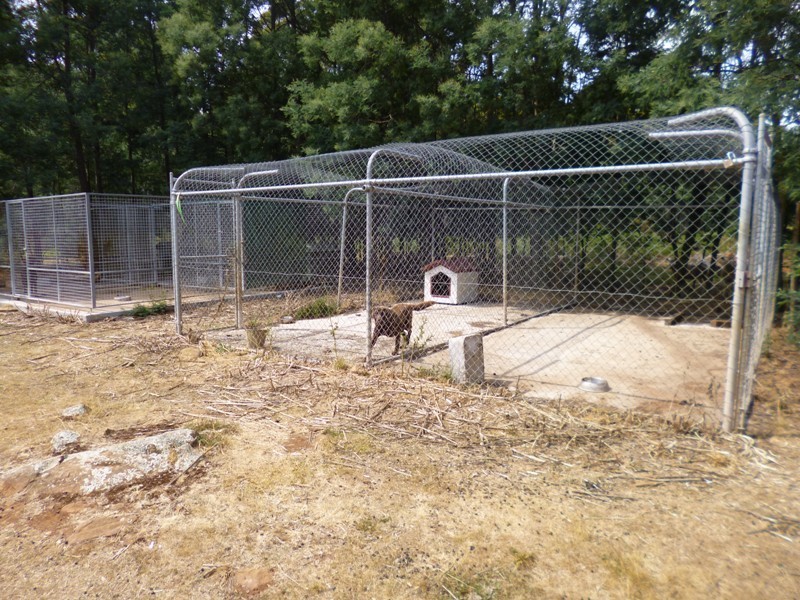 290 Wadleys Road, Reedy Marsh TAS 7304